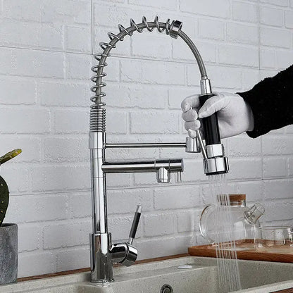 Chrome and Black Delinia Spring Neck Kitchen Faucet