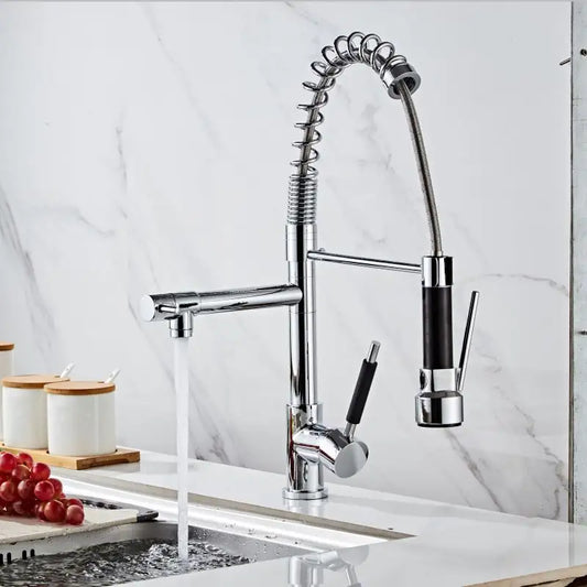 Chrome and Black Delinia Spring Neck Kitchen Faucet